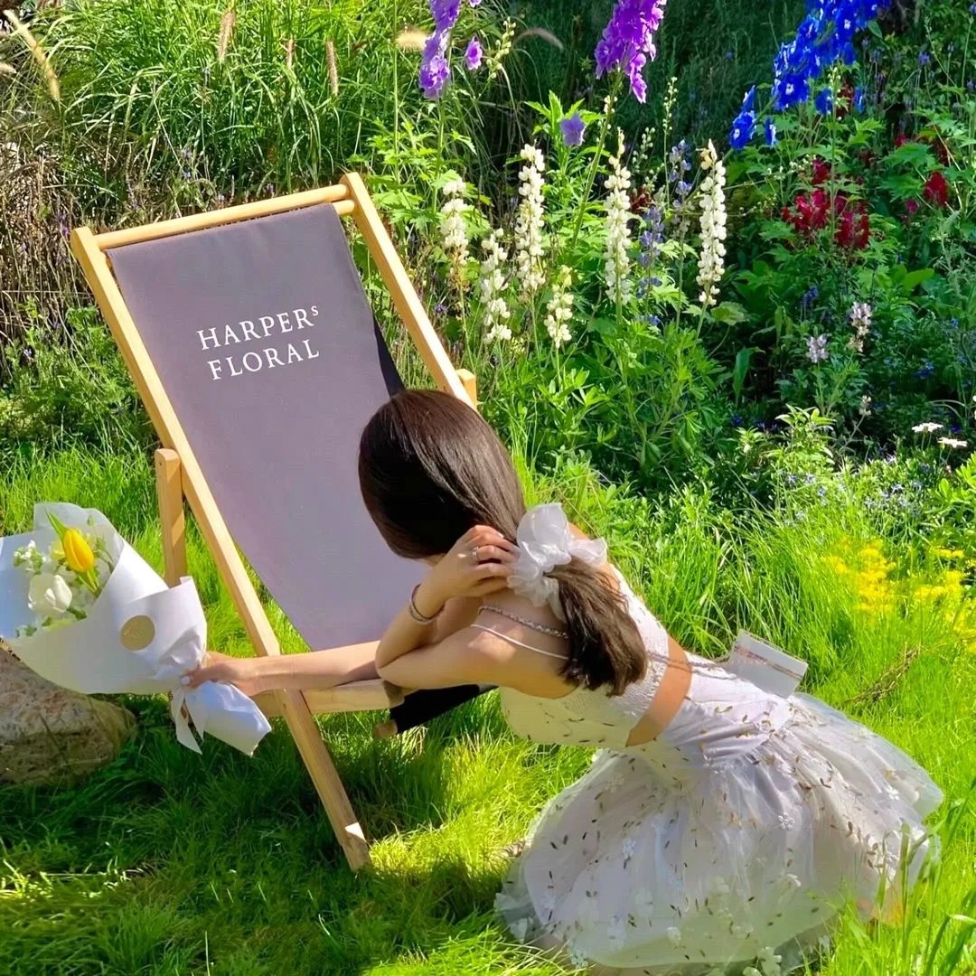 怪力侍卫陈思思